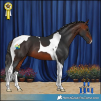 Horse Color:Bay Tobiano 