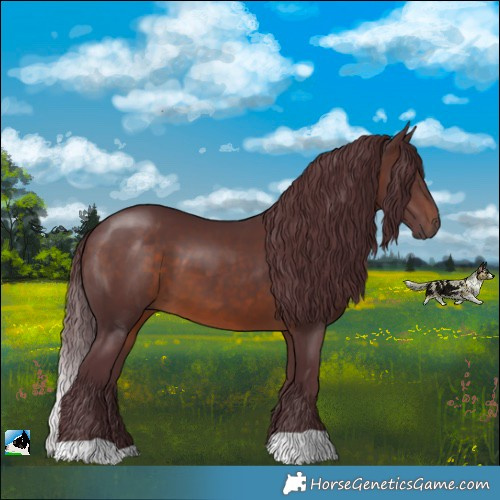 Horse Color:Chocolate Brown 
