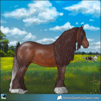 Horse Color:Chocolate Brown 