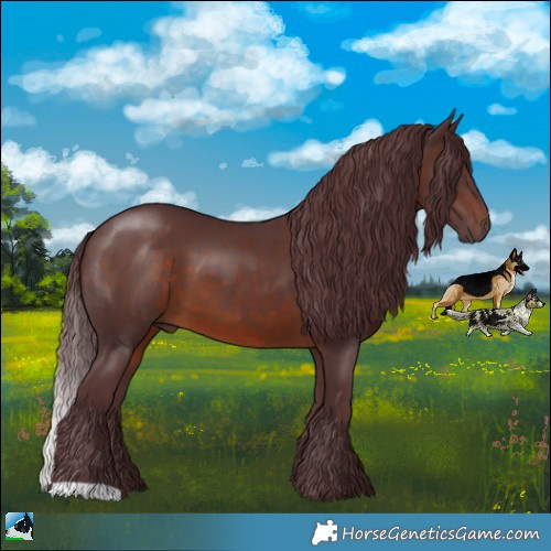 Horse Color:Chocolate Brown 