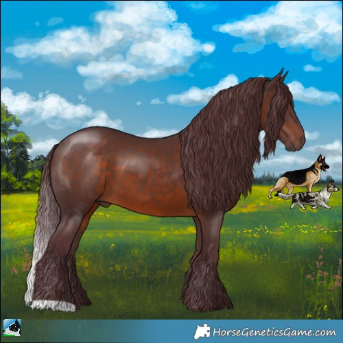 Horse Color:Chocolate Brown 