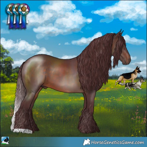 Horse Color:Chocolate Brown 