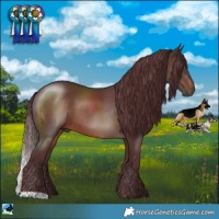 Horse Color:Chocolate Brown