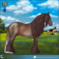 Horse Color:Chocolate Brown 