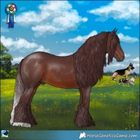Horse Color:Chocolate Brown 
