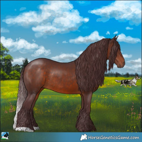 Horse Color:Chocolate Brown Rabicano 