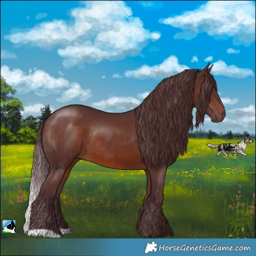 Horse Color:Chocolate Brown Rabicano 