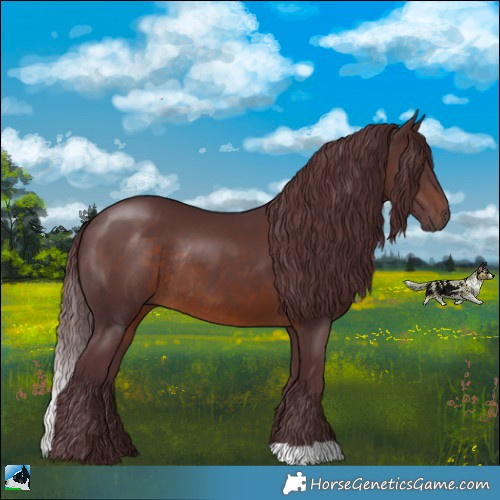 Horse Color:Chocolate Brown Rabicano 
