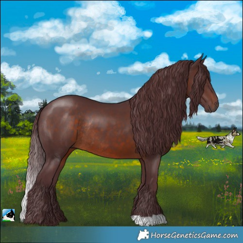 Horse Color:Chocolate Brown Rabicano 