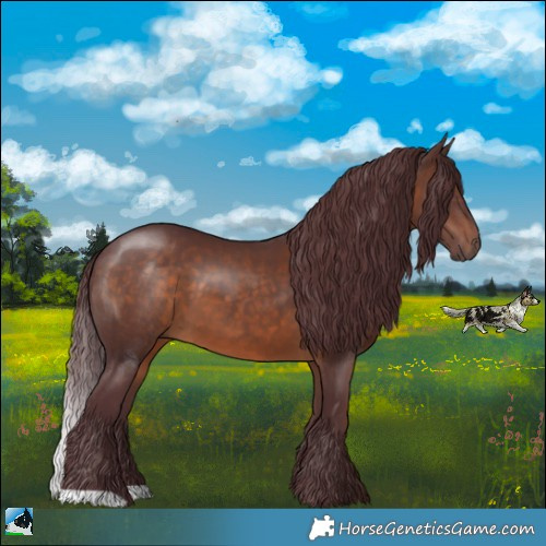 Horse Color:Chocolate Brown 