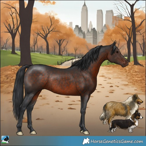 Horse Color:Brown Rabicano 