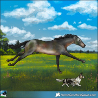 Horse Color:Gray Brown Mushroom Rabicano
