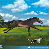 Horse Color:Gray Brown Mushroom Rabicano