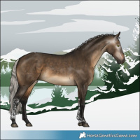 Horse Color:Gray Silver Brown Dun Tobiano 