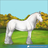 Horse Color:Gray Silver Sable Champagne Roan Dun Splash Tobiano Frame and Silver Sable Champagne Roan Dun Splash Tobiano