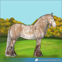 Horse Color:Silver Sable Champagne Dun Splash Tobiano  and Gray Silver Sable Champagne Dun Splash Frame 