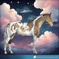Horse Color:Silver Buckskin Dun Tobiano Blanket