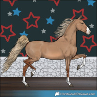 Horse Color:Red Dun 