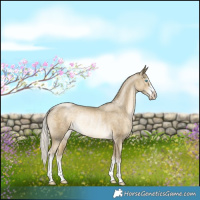 Horse Color:Silver Smoky Black Pearl Rabicano 