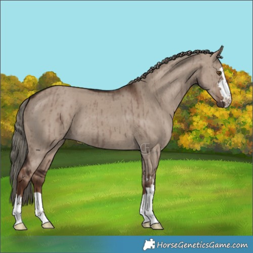 Horse Color:Liver Red Dun Mushroom Brindle 