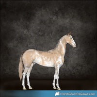 Horse Color:Chocolate Palomino Dun Sabino 