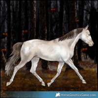 Horse Color:White Spotted Brown Pearl Dun Tobiano Rabicano 