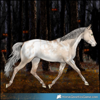 Horse Color:White Spotted Silver Brown Pearl Dun Blanket Rabicano 