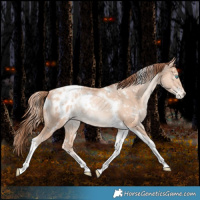 Horse Color:White Spotted Classic Champagne Snowdrop Pearl Tobiano Blanket Rabicano 