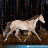 Horse Color:Brown Pearl Dun Tobiano Varnish Rabicano 