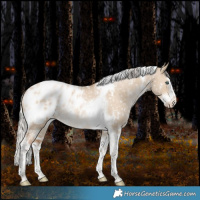 Horse Color:White Spotted Silver Bay Pearl Dun Splash Tobiano Appaloosa Rabicano 