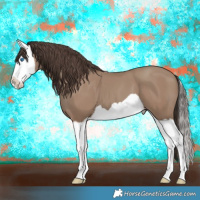 Horse Color:Classic Champagne Splash 