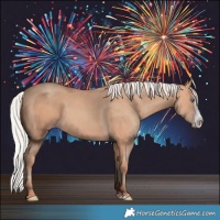 Horse Color:Silver Amber Champagne Frame 
