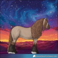 Horse Color:Liver Red Dun