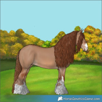 Horse Color:Red Dun 
