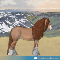Horse Color:Red Dun 