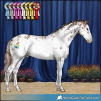 Horse Color:Chestnut Sabino Splash Frame Appaloosa