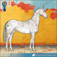 Horse Color:Liver Red Dun Mushroom Sabino Snowflake Varnish