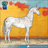 Horse Color:Liver Red Dun Mushroom Sabino Snowflake Varnish