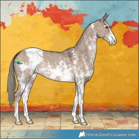 Horse Color:Liver Red Dun Mushroom Sabino Snowflake Varnish