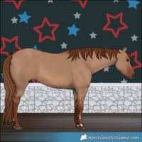 Horse Color:Red Dun 