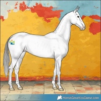 Horse Color:Liver Red Dun Mushroom Sabino Varnish 