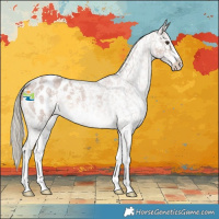 Horse Color:Red Roan Mushroom Sabino Snowflake Varnish 