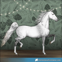 Horse Color:Gray White Spotted Liver Chestnut Tobiano 