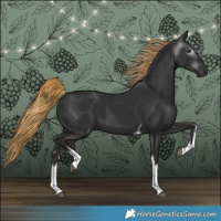 Horse Color:Gray White Spotted Liver Chestnut Tobiano 