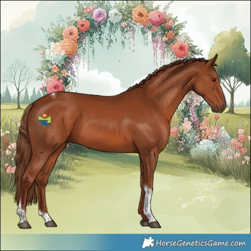 Horse Color:Chestnut Tobiano 