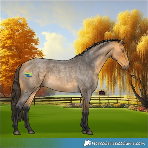 Horse Color:Buckskin Roan 