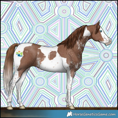 Horse Color:Chestnut Sabino Splash Tobiano 