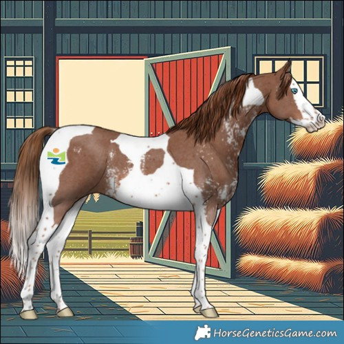 Horse Color:Chestnut Sabino Splash Tobiano 