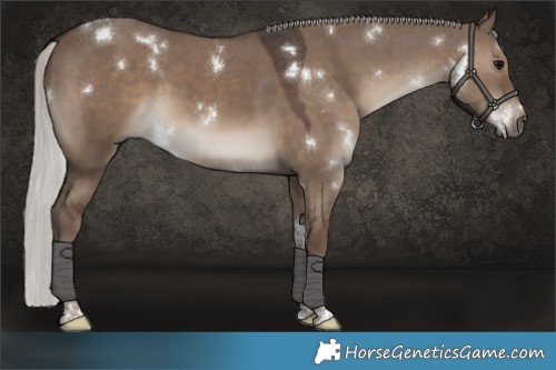 Horse Color:White Spotted Silver Grullo Tobiano Rabicano