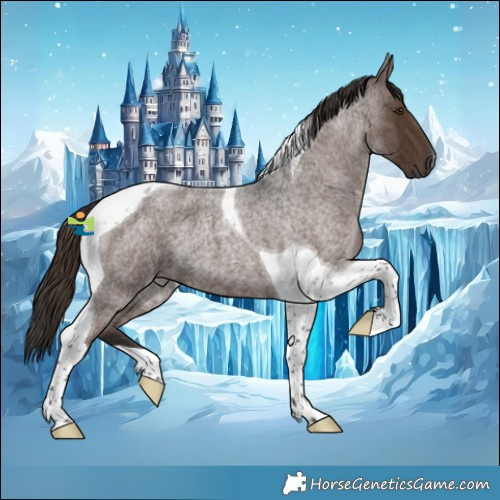Horse Color:Liver Red Roan Tobiano 